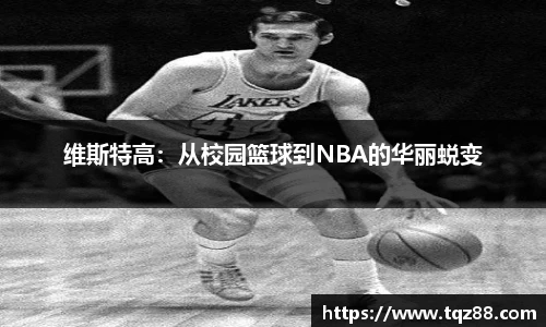 维斯特高：从校园篮球到NBA的华丽蜕变